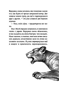 День огня