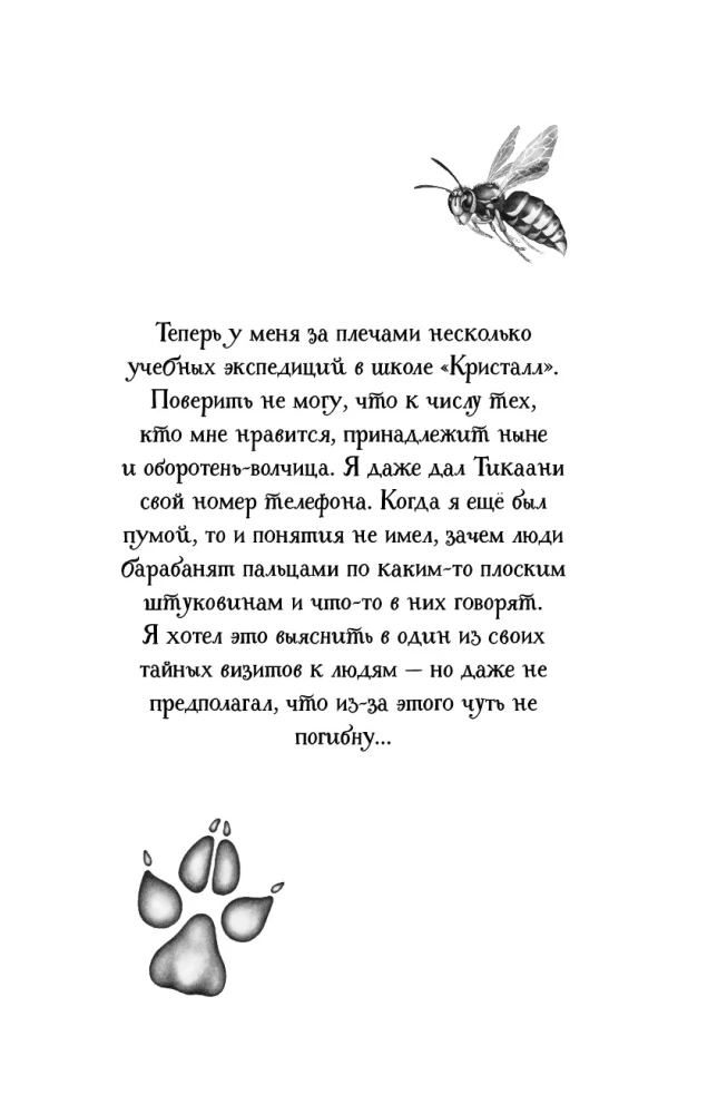 Тайна Холли