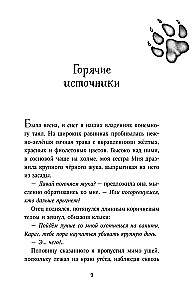 Тайна Холли