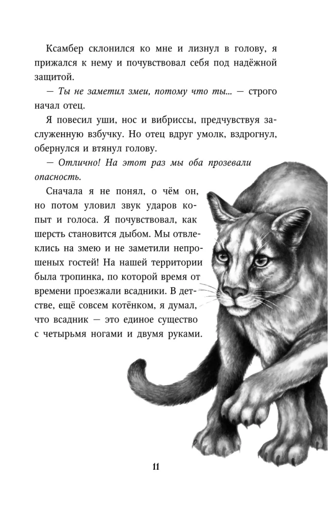 The Revenge of the Puma