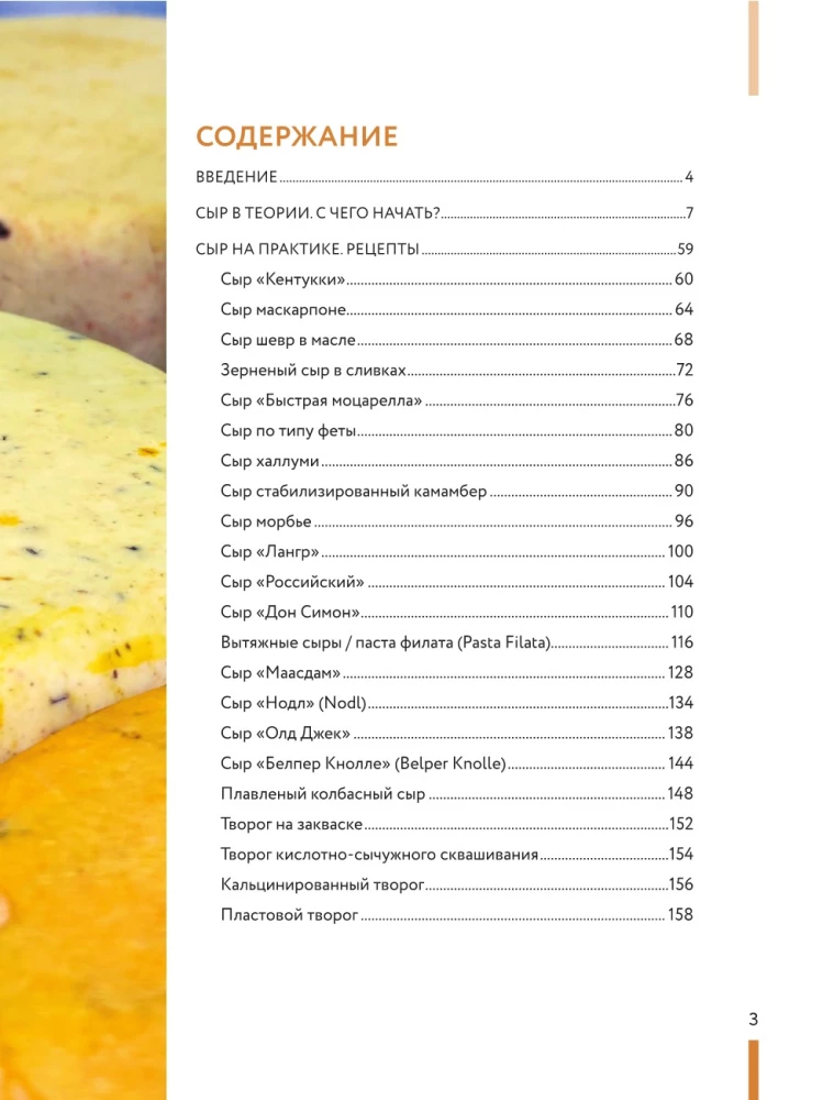 Homemade Cheese. Step-by-Step Course Book from Beginner to Master