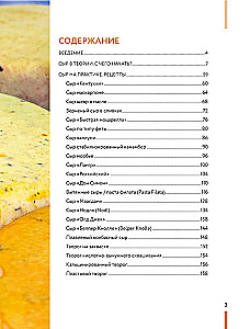 Homemade Cheese. Step-by-Step Course Book from Beginner to Master