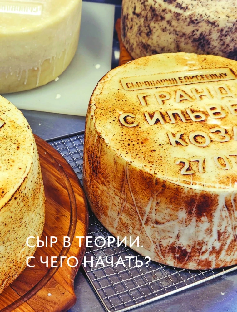 Homemade Cheese. Step-by-Step Course Book from Beginner to Master