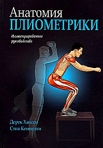 Anatomia pliometrii