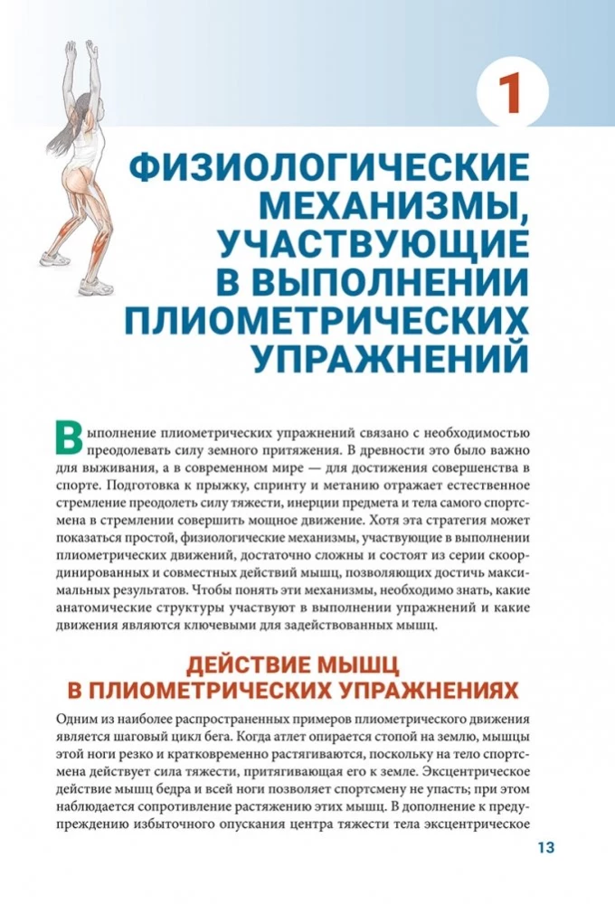 Anatomia pliometrii