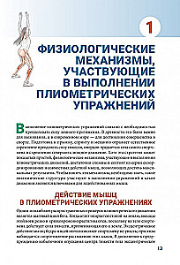 Anatomia pliometrii