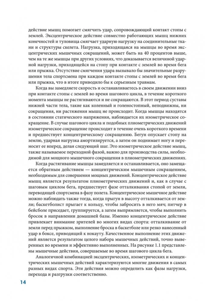 Anatomia pliometrii