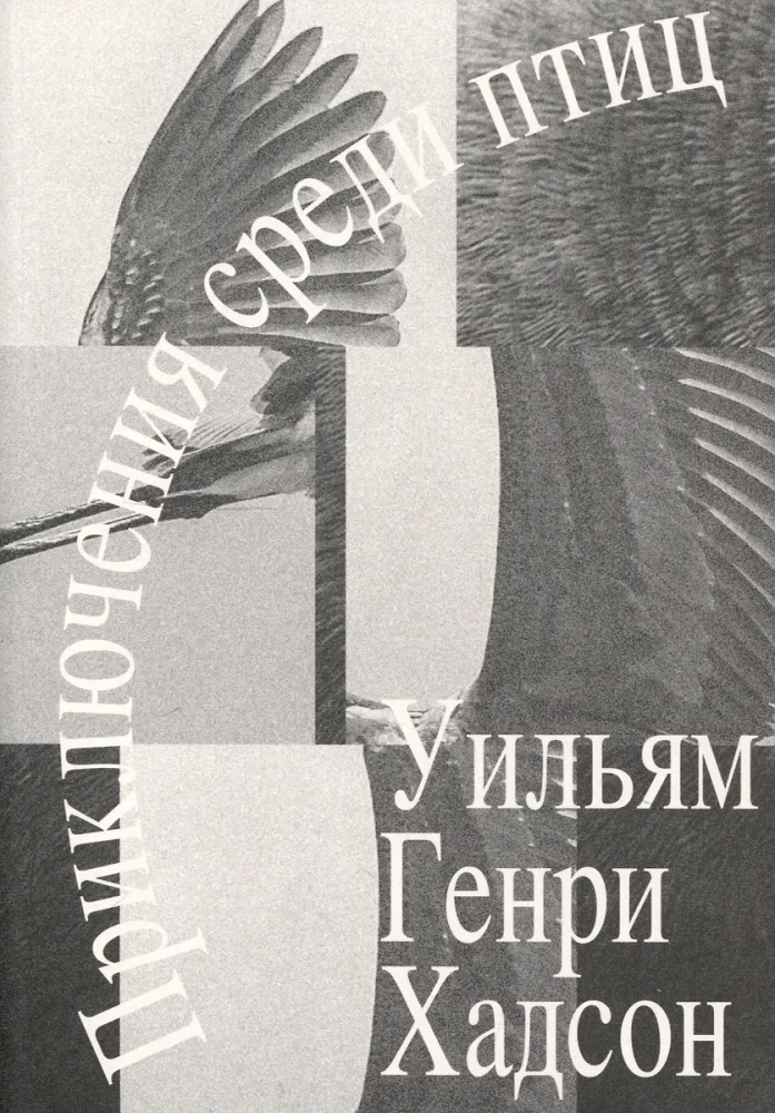 Приключения среди птиц