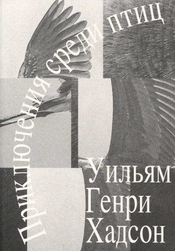 Приключения среди птиц