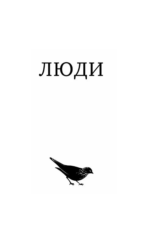 All My Birds