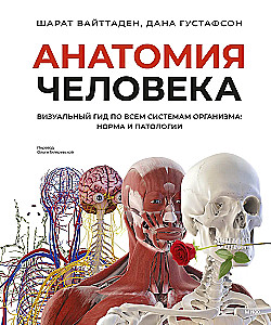 Anatomia człowieka. Wizualny przewodnik po wszystkich systemach organizmu: norma i patologie