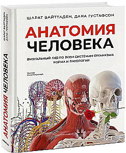 Anatomia człowieka. Wizualny przewodnik po wszystkich systemach organizmu: norma i patologie