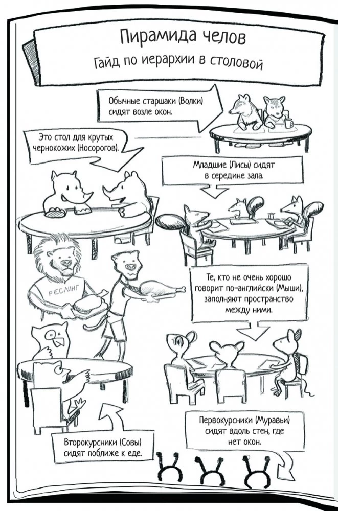Новенький