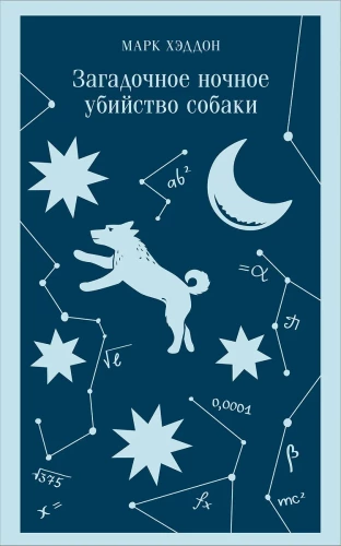 The Curious Incident of the Dog in the Night-Time