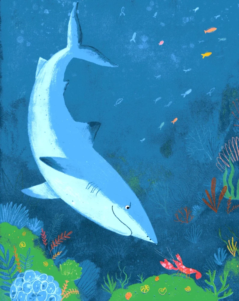 Super Claw. Hero of the Reef