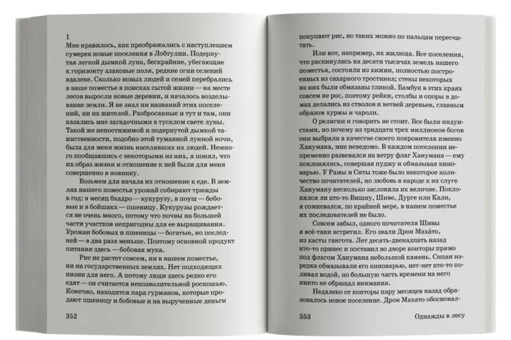 Однажды в лесу