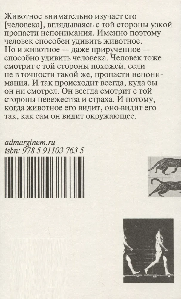 Зачем смотреть на животных?