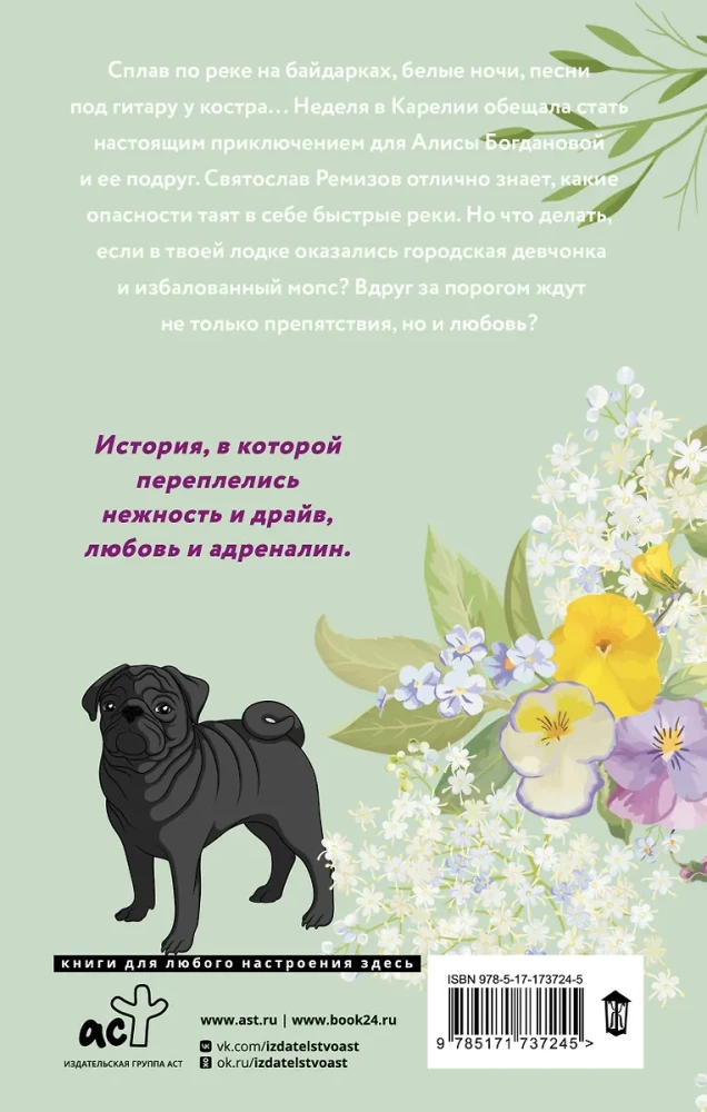 Love in Sochi, pug and white nights