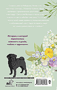 Love in Sochi, pug and white nights