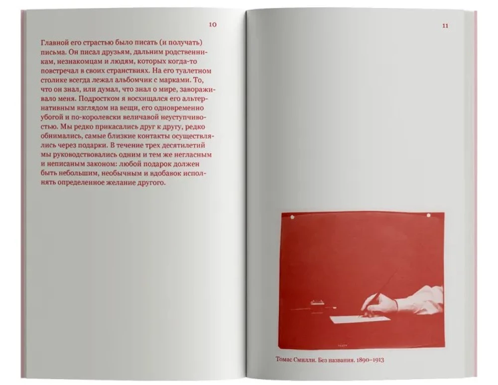 The Red Curtain of Bologna