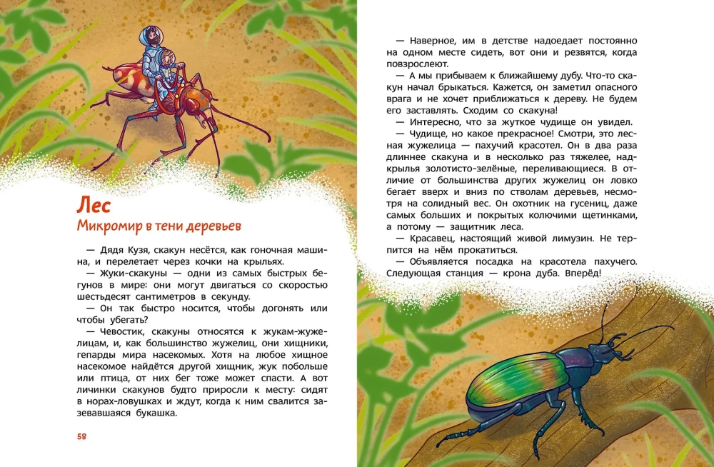 Insects and Spiders. Children's Encyclopedia