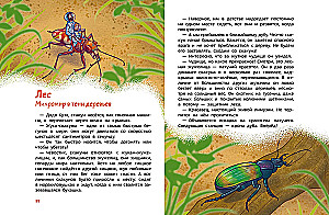 Insects and Spiders. Children's Encyclopedia