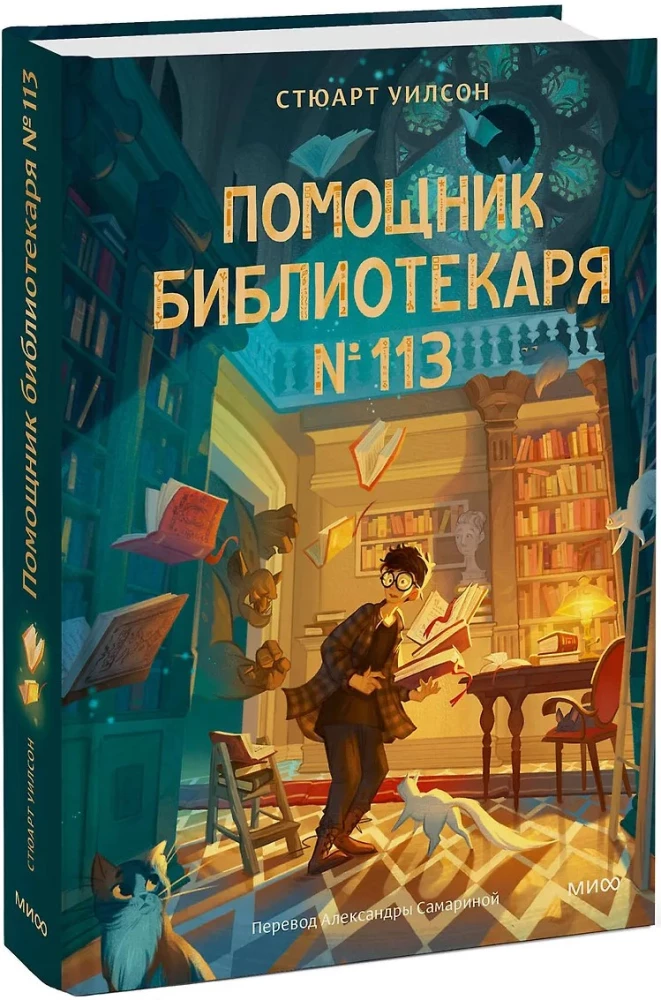 Asystent bibliotekarza nr 113