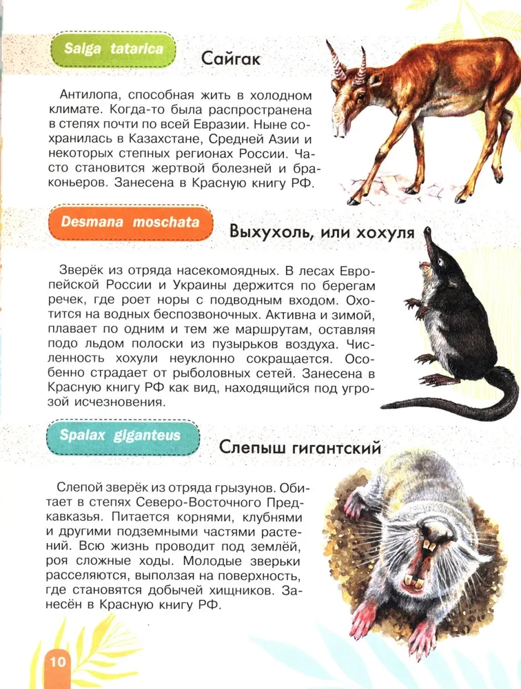 Red Book. Activity