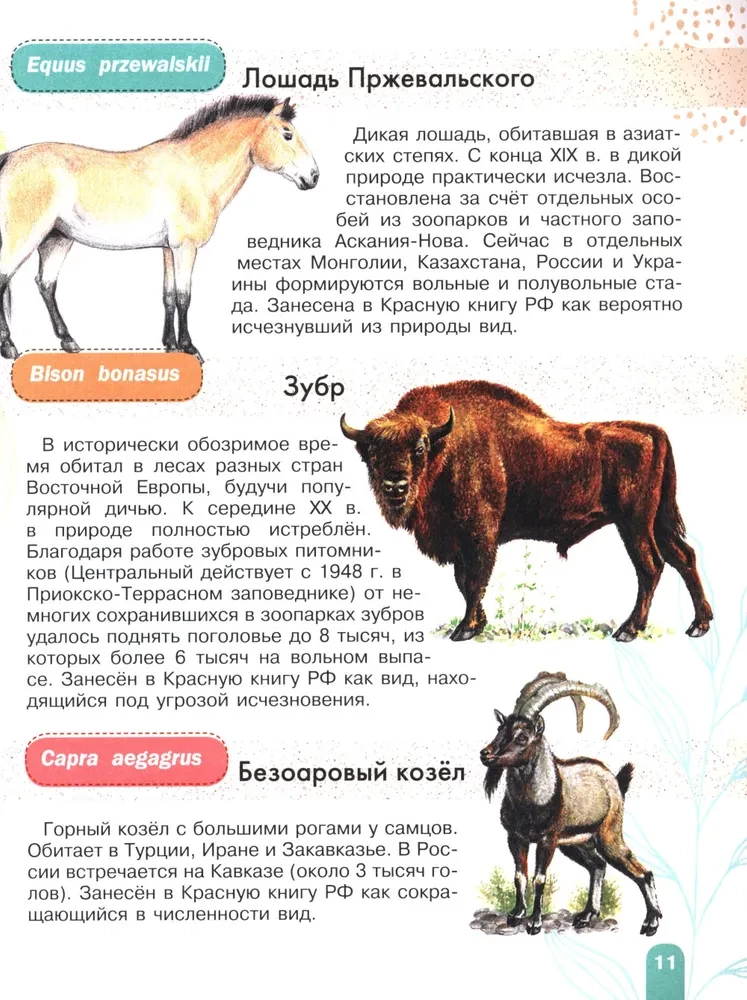 Red Book. Activity