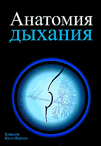 Анатомия дыхания