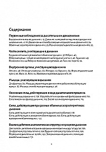 Анатомия дыхания