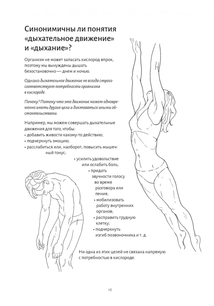 Анатомия дыхания