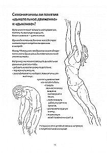 Анатомия дыхания