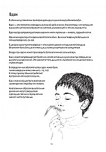 Анатомия дыхания