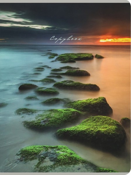 Тетрадь - Туман над водой, А4, 96 листов, клетка