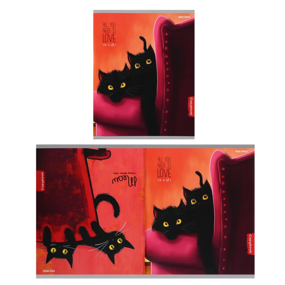 Notebook - Life of Black Kittens, A5, 96 sheets, grid, assorted