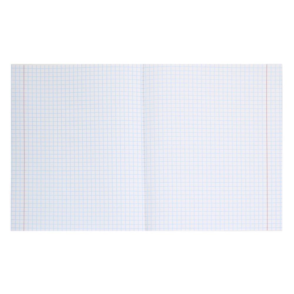 Notebook - Life of Black Kittens, A5, 96 sheets, grid, assorted