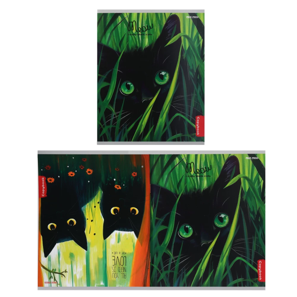 Notebook - Life of Black Kittens, A5, 96 sheets, grid, assorted