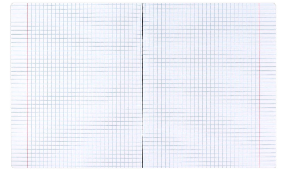 Notebook - Girl with a Cat, A5, 48 sheets, grid, assorted