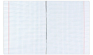 Notebook - Girl with a Cat, A5, 48 sheets, grid, assorted