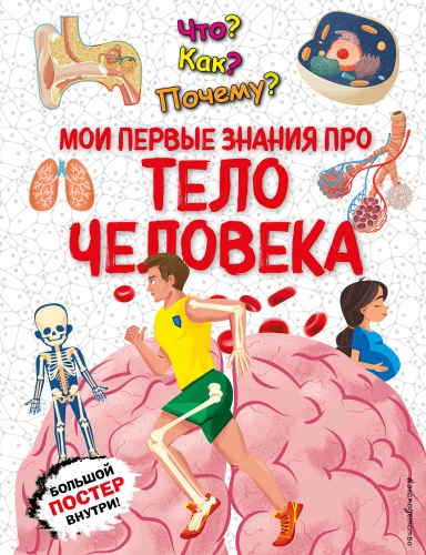 What? How? Why? My First Knowledge About the Human Body
