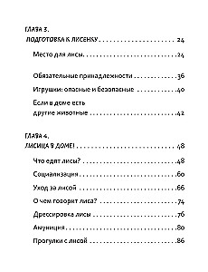 50 odcieni rudości. Wszystko, co musisz wiedzieć o domowych lisach