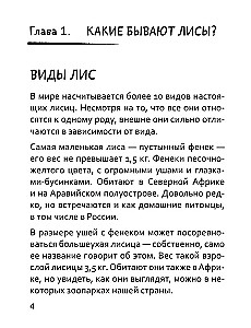 50 odcieni rudości. Wszystko, co musisz wiedzieć o domowych lisach