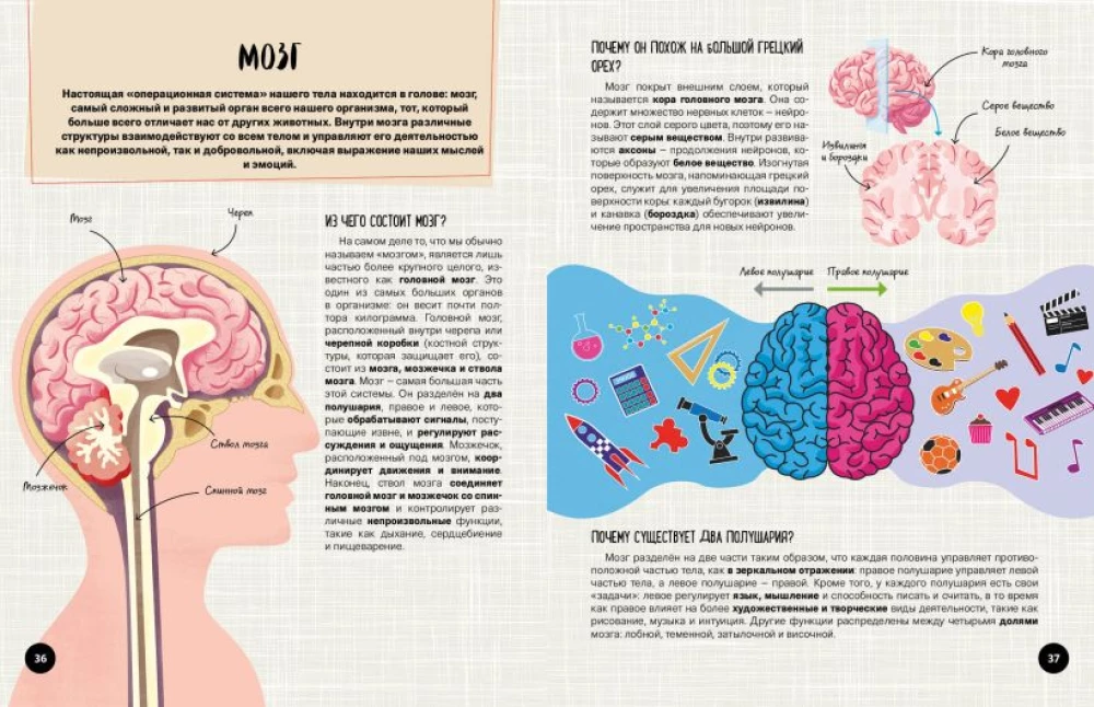 Co? Jak? Dlaczego? Moje pierwsze informacje o ciele człowieka