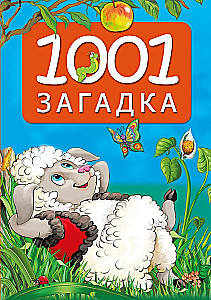 1001 riddle