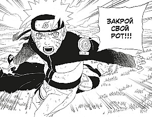 Naruto. Naruто. Księga 11. W poszukiwaniu Sasuke!!!