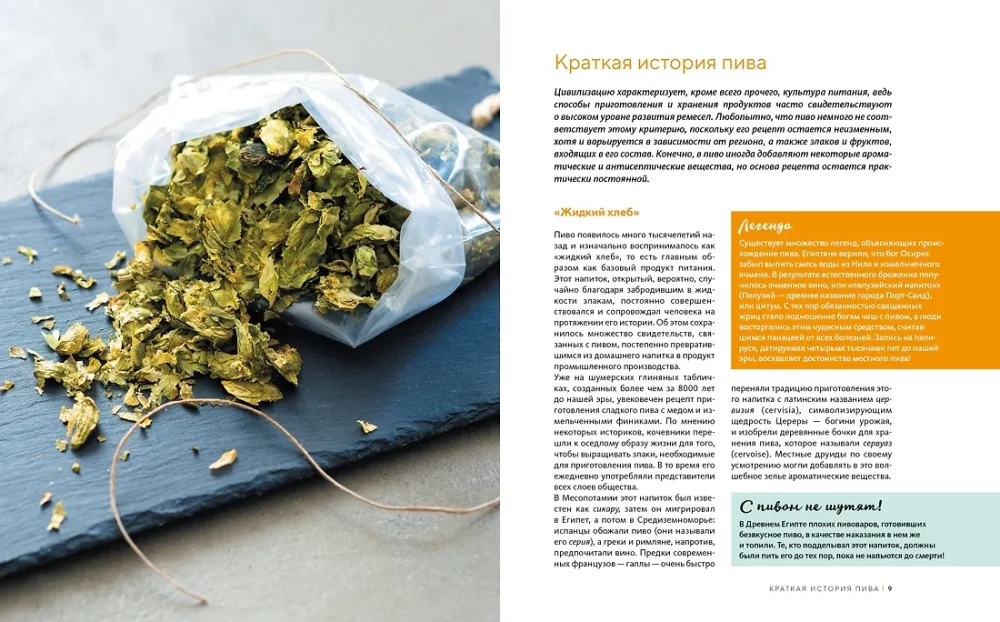 Domowe piwo. Podstawowe techniki warzenia, butelkowania i przechowywania