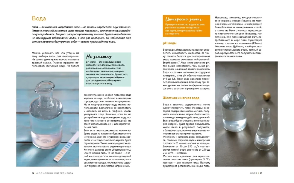 Domowe piwo. Podstawowe techniki warzenia, butelkowania i przechowywania