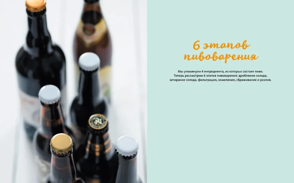 Domowe piwo. Podstawowe techniki warzenia, butelkowania i przechowywania