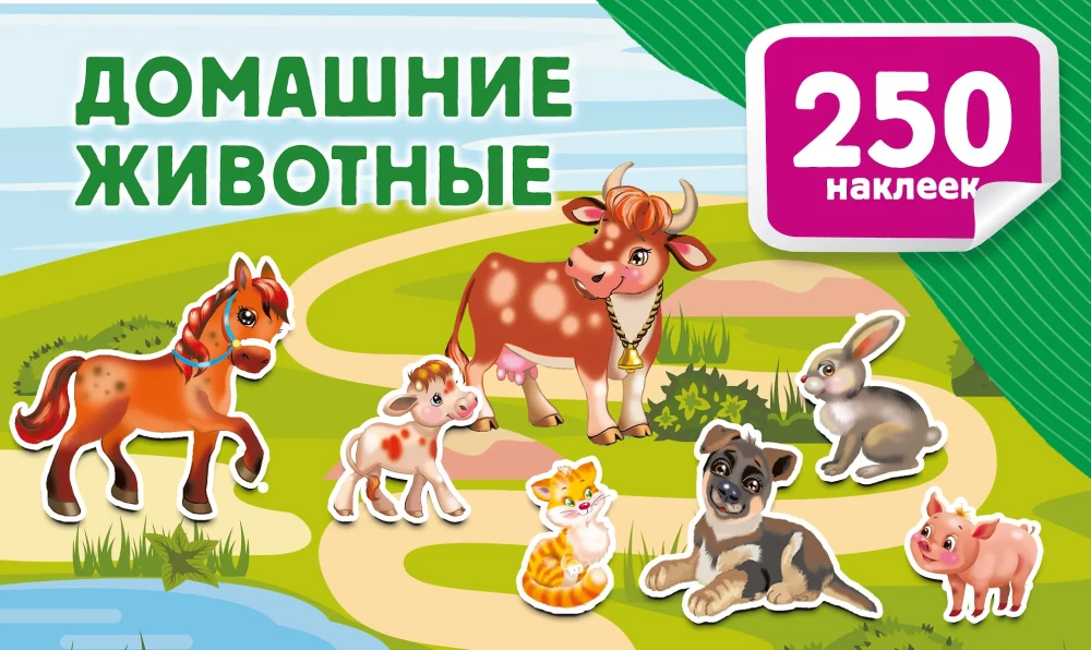 Zwierzęta domowe
